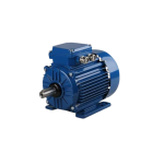Electric Motor
