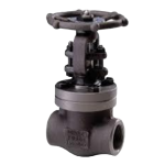 gate valve